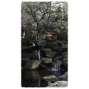 Meet your Posher, Dakota